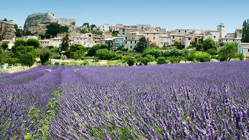 Best drives in France: Route Napoleon lavender in Provence